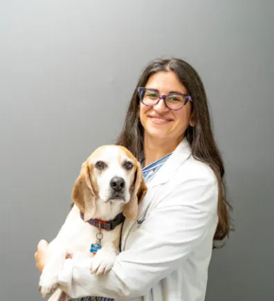 Dr. Maria Guerrero-Reyes at Gunston & Dale City Animal Hospital